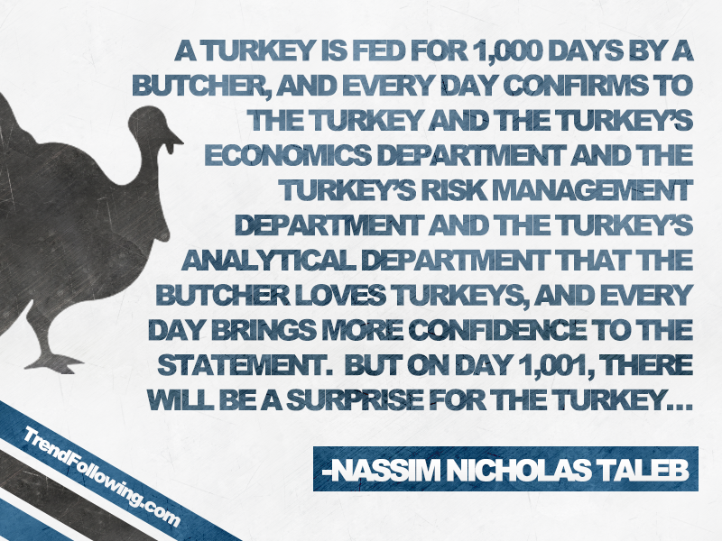 Nassim Taleb's Turkey Problem Quote